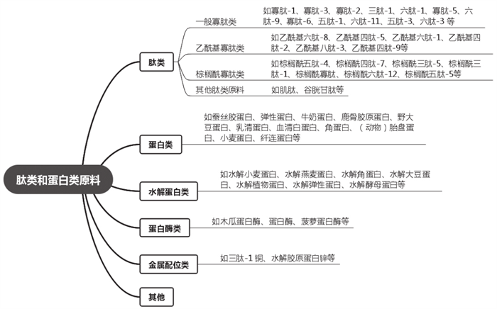 化妆品,化妆品肽类,蛋白类,原料,抗氧化,新陈代谢