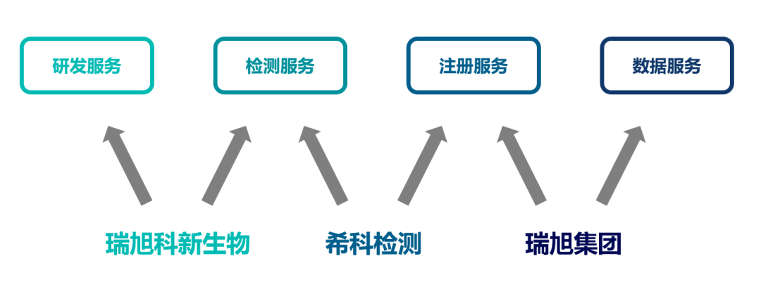 MK体育·(国际)官方网站科新生物,化妆品功效,日化品,MK体育·(国际)官方网站集团,希科检测,注册备案